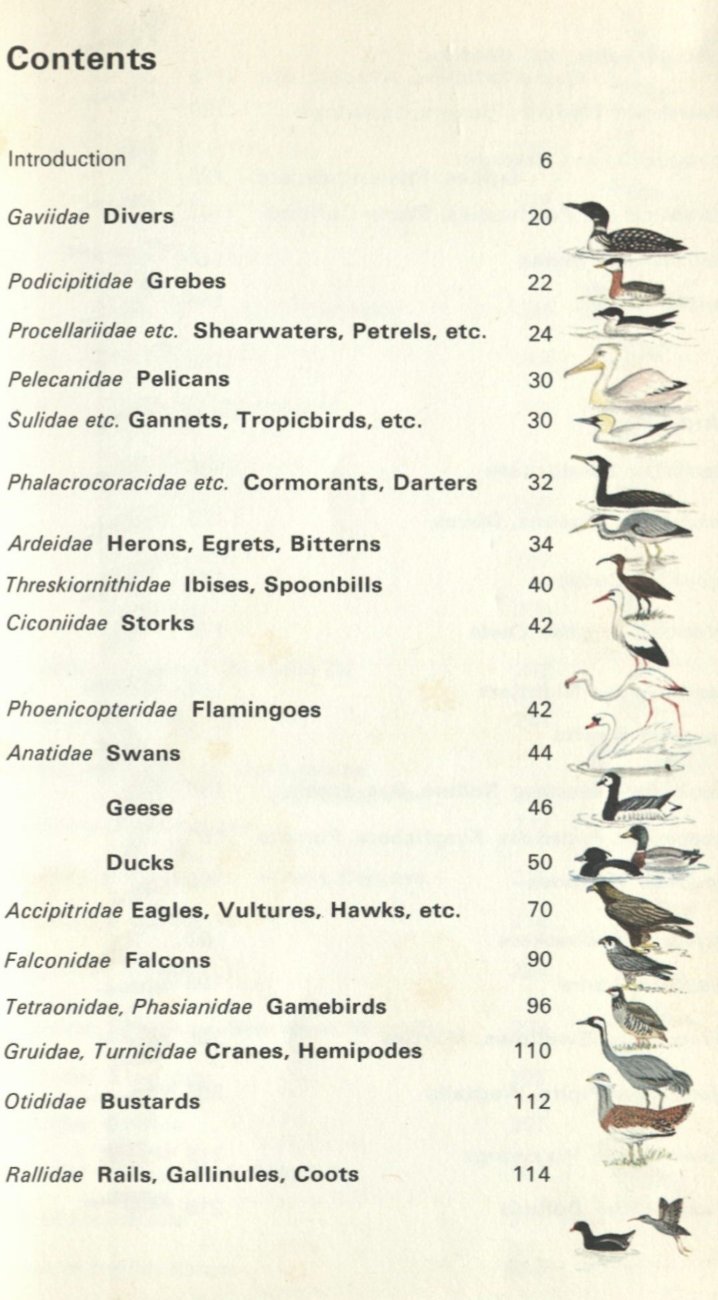 Bird Book Contents